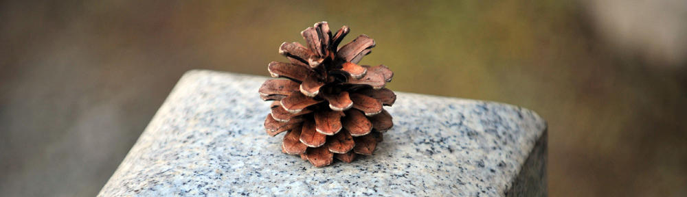 Der Knoerchen Blog